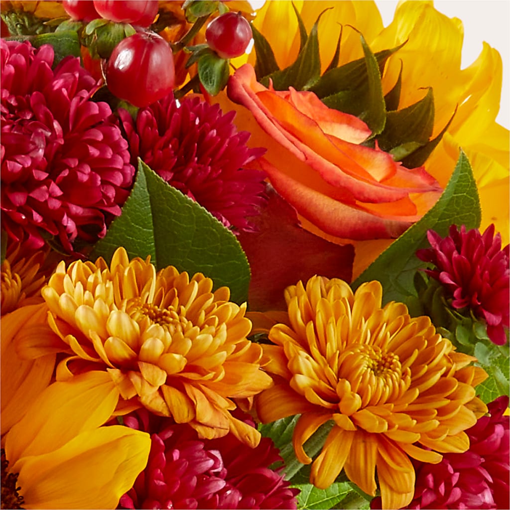 Sweater Season - A Florist Original – MOLLY'S FLORIST, Mullins SC