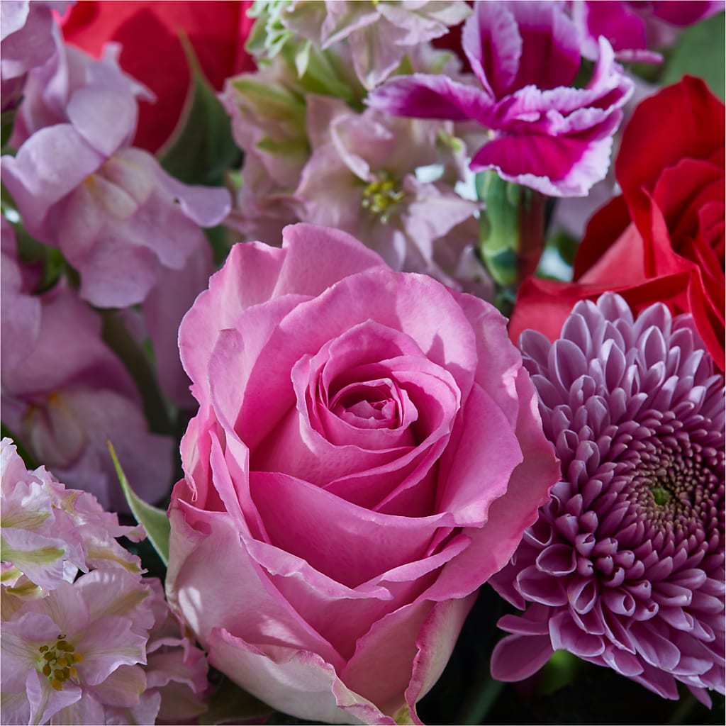 Better Together - A Luxury Florist Original – MOLLY'S FLORIST, Mullins SC
