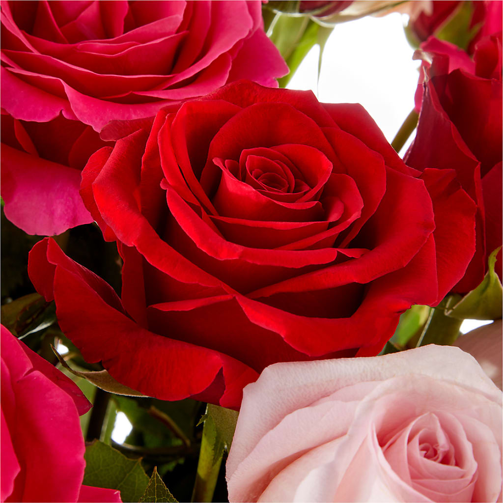 Love Notes Rose Bouquet – MOLLY'S FLORIST, Mullins SC