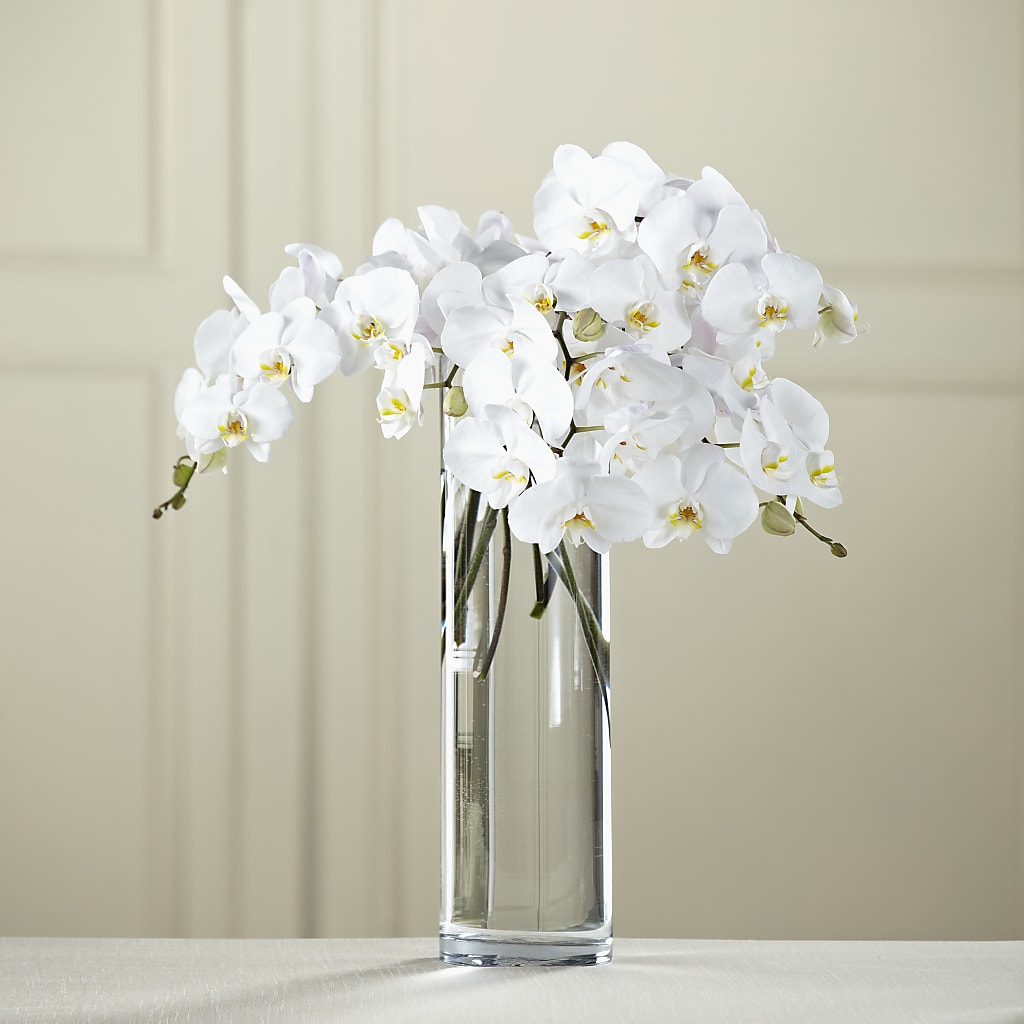 White Phalaenopsis Bouquet – MOLLY'S FLORIST, Mullins SC