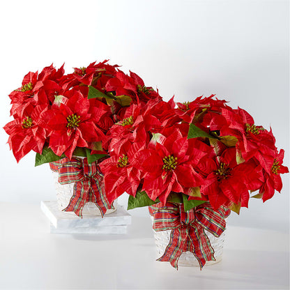 Happiest Holidays Poinsettia Bundle – MOLLY'S FLORIST, Mullins SC