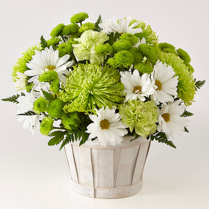 Lucky Charm Basket (Standard) – MOLLY'S FLORIST, Mullins SC