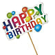 Happy Birthday Pick – MOLLY'S FLORIST, Mullins SC