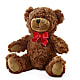 Adorable Plush Bear – MOLLY'S FLORIST, Mullins SC