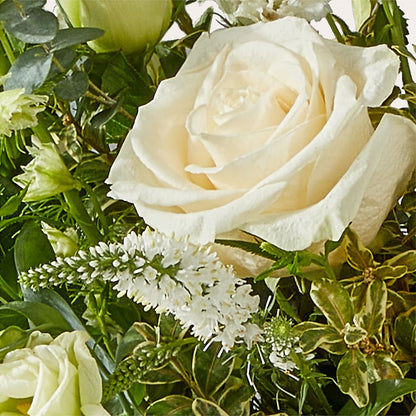 Cashmere Bouquet – MOLLY'S FLORIST, Mullins SC