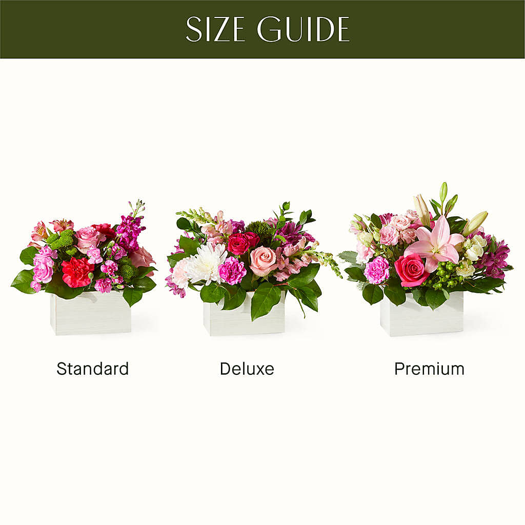 Sweetberry Box – A Florist Original – MOLLY'S FLORIST, Mullins SC