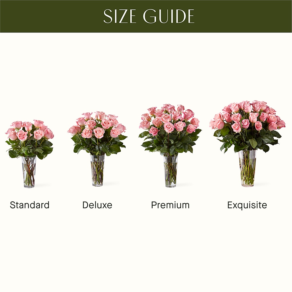 Long Stem Pink Rose Bouquet – MOLLY'S FLORIST, Mullins SC