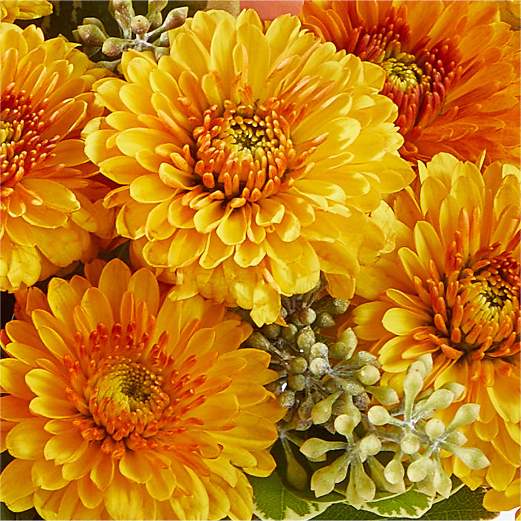 Peachy Pumpkin – MOLLY'S FLORIST, Mullins SC