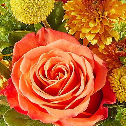 Gourdgeous Pumpkin – MOLLY'S FLORIST, Mullins SC