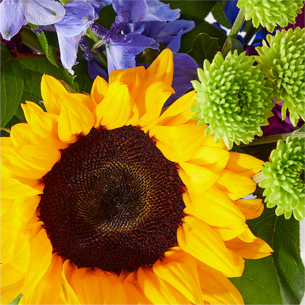 Catching Rays Bouquet – MOLLY'S FLORIST, Mullins SC