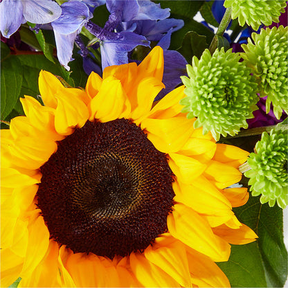 Catching Rays Bouquet – MOLLY'S FLORIST, Mullins SC