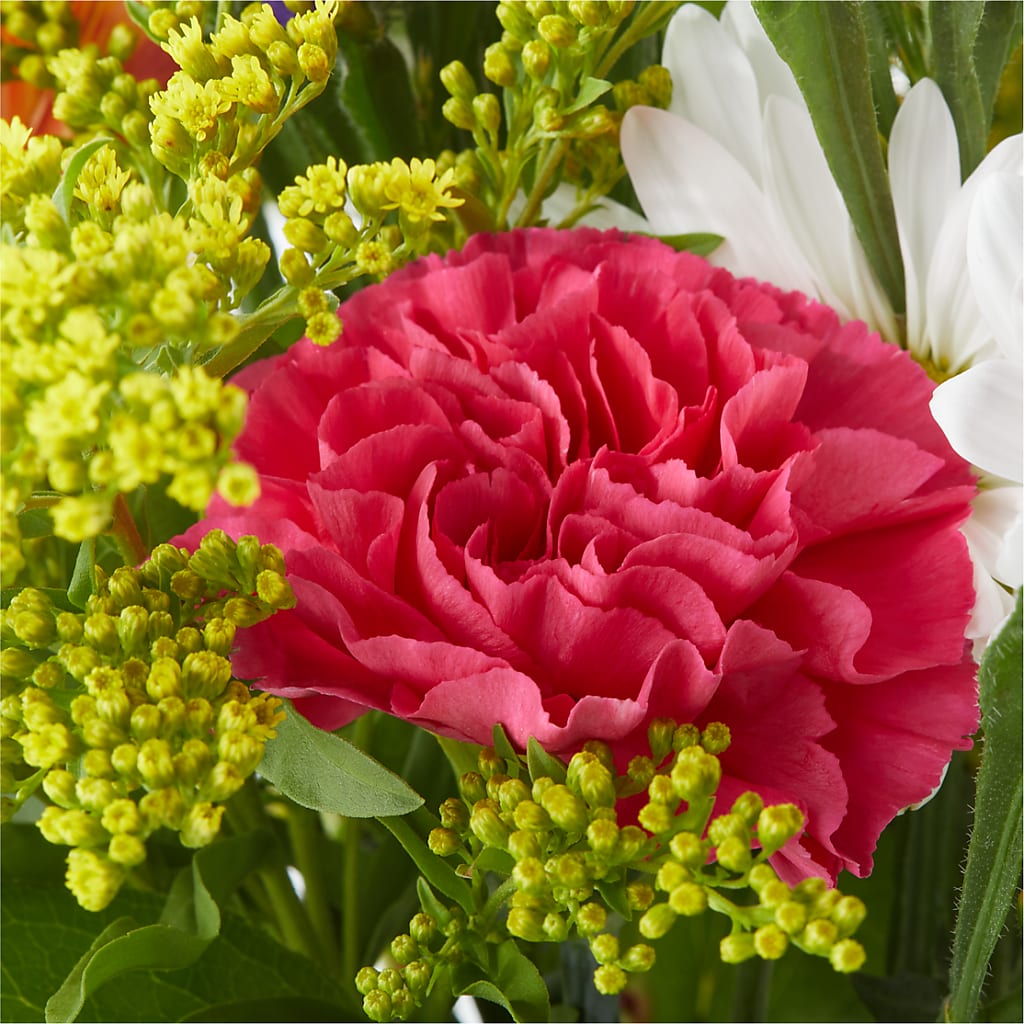 Oopsie Daisy Bouquet – MOLLY'S FLORIST, Mullins SC