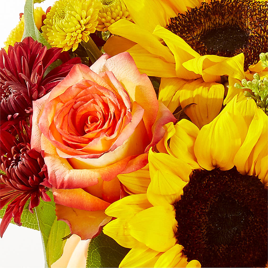 Golden Gourd Pumpkin Bouquet – MOLLY'S FLORIST, Mullins SC