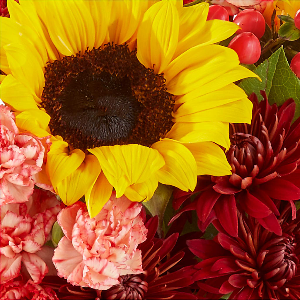 Fresh Cider Bouquet – MOLLY'S FLORIST, Mullins SC