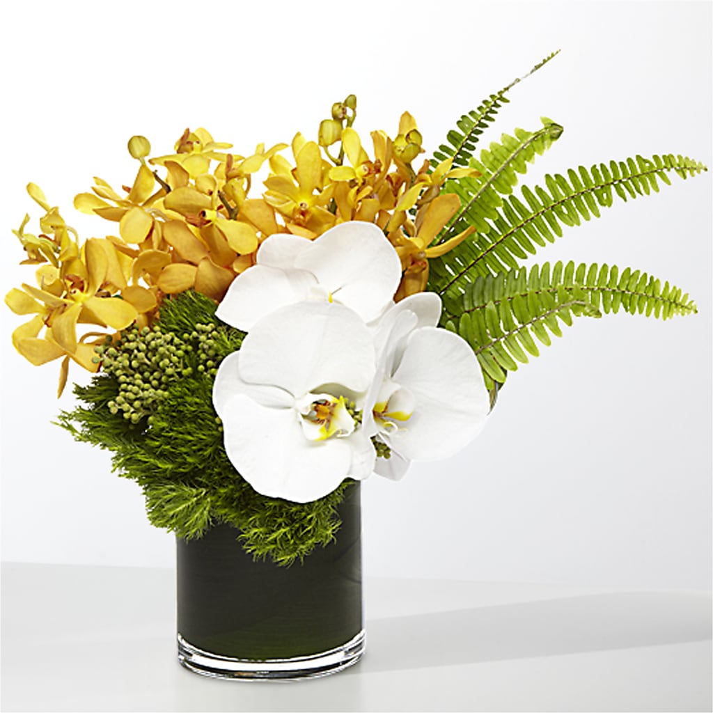 The Tropics – MOLLY'S FLORIST, Mullins SC