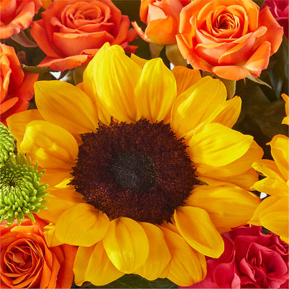 Sun-drenched Blooms Box Bouquet – MOLLY'S FLORIST, Mullins SC