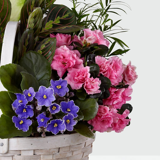 Peaceful Garden Planter – MOLLY'S FLORIST, Mullins SC