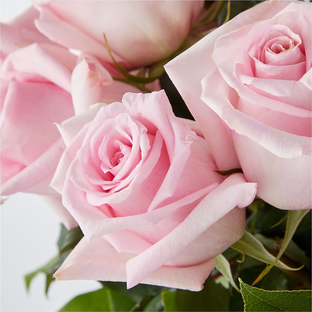 Picture Perfect Pink Rose Bouquet – MOLLY'S FLORIST, Mullins SC