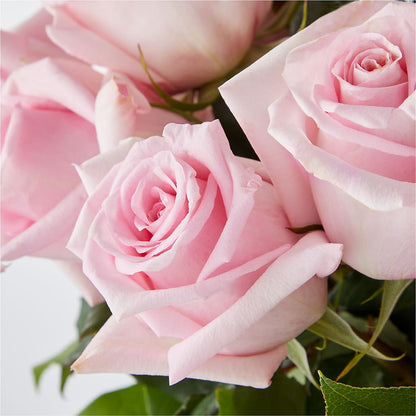 Picture Perfect Pink Rose Bouquet – MOLLY'S FLORIST, Mullins SC