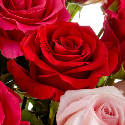 Love Notes Rose Bouquet – MOLLY'S FLORIST, Mullins SC