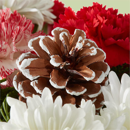 Candy Cane Lane Bouquet – MOLLY'S FLORIST, Mullins SC