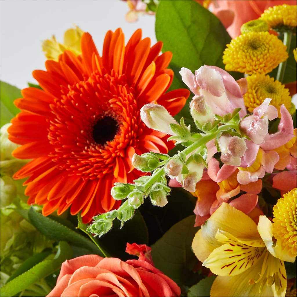 Autumn Sunshine Bouquet – MOLLY'S FLORIST, Mullins SC