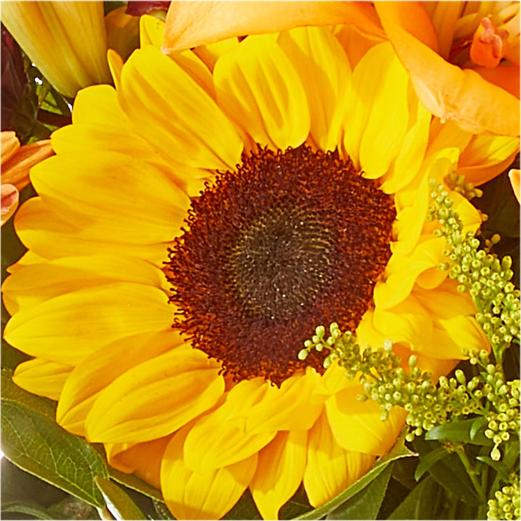 Seasons Change Bouquet – MOLLY'S FLORIST, Mullins SC