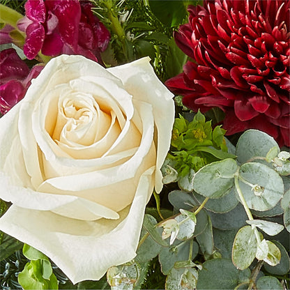 Cranberry Fizz Bouquet – MOLLY'S FLORIST, Mullins SC