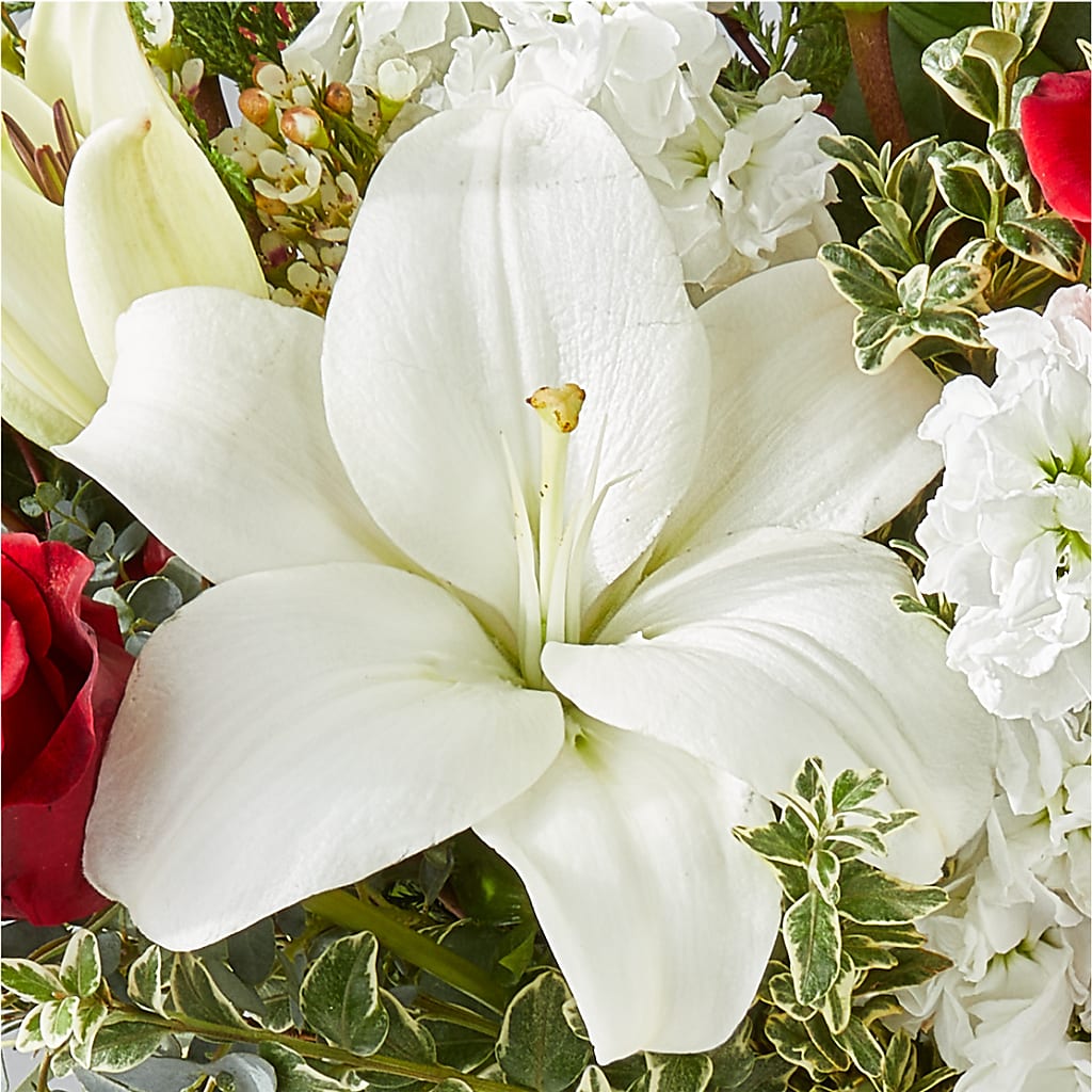 Twinkle Lights Bouquet – MOLLY'S FLORIST, Mullins SC