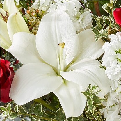 Twinkle Lights Bouquet – MOLLY'S FLORIST, Mullins SC