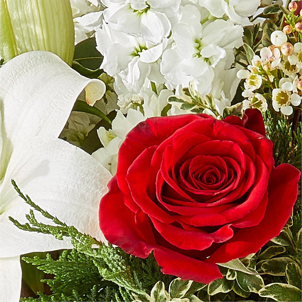 Twinkle Lights Bouquet – MOLLY'S FLORIST, Mullins SC