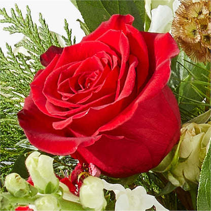 Deck the Halls Bouquet – MOLLY'S FLORIST, Mullins SC