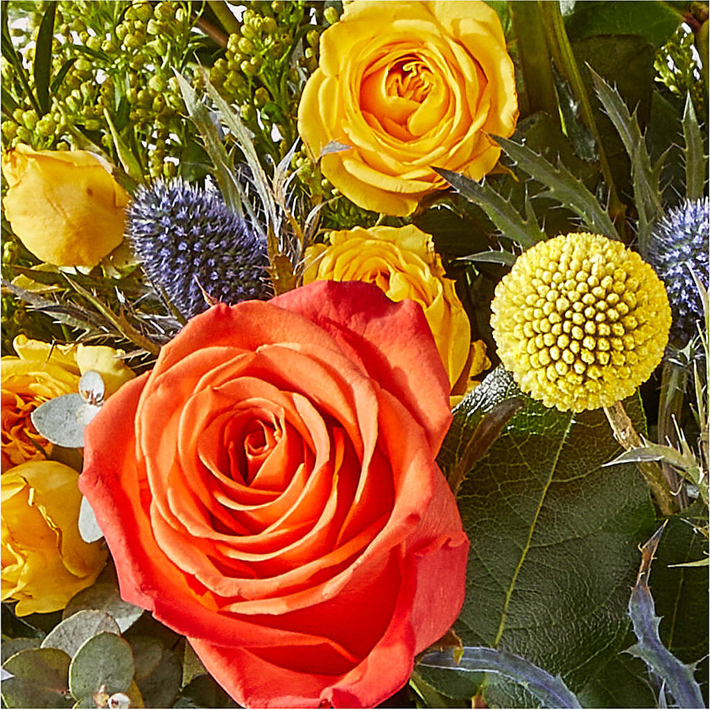 Disco Bouquet – MOLLY'S FLORIST, Mullins SC