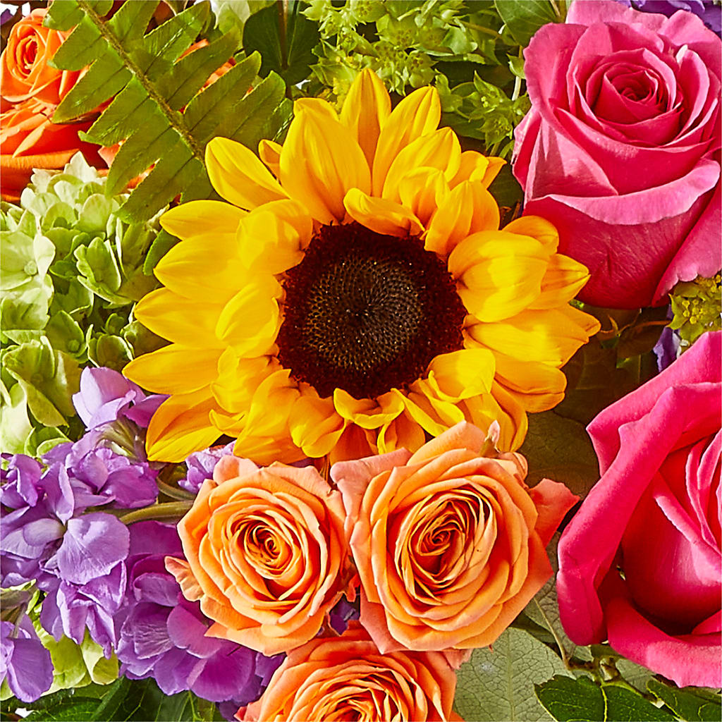 Vibrant Greetings Bouquet – MOLLY'S FLORIST, Mullins SC