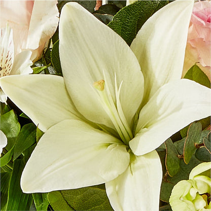 Ballet Slippers Bouquet – MOLLY'S FLORIST, Mullins SC