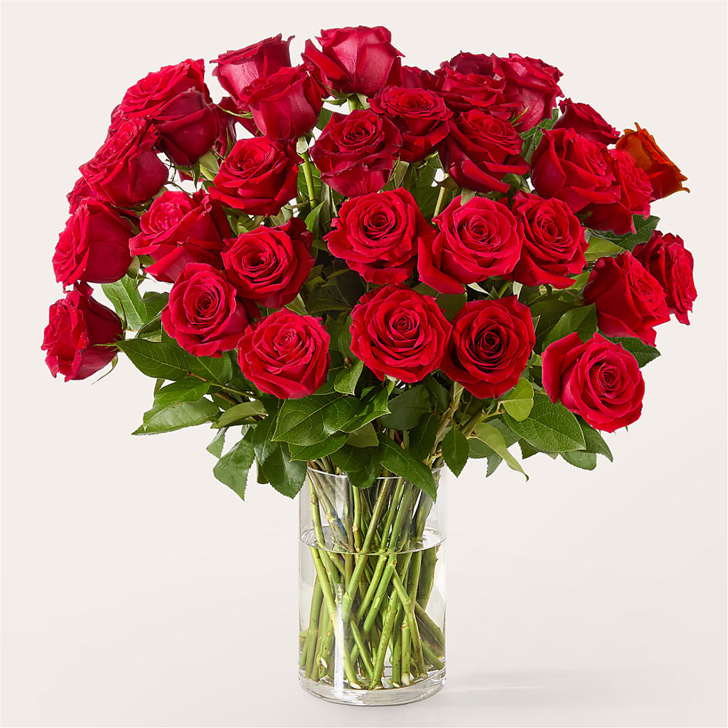 The One Red Rose Bouquet – MOLLY'S FLORIST, Mullins SC