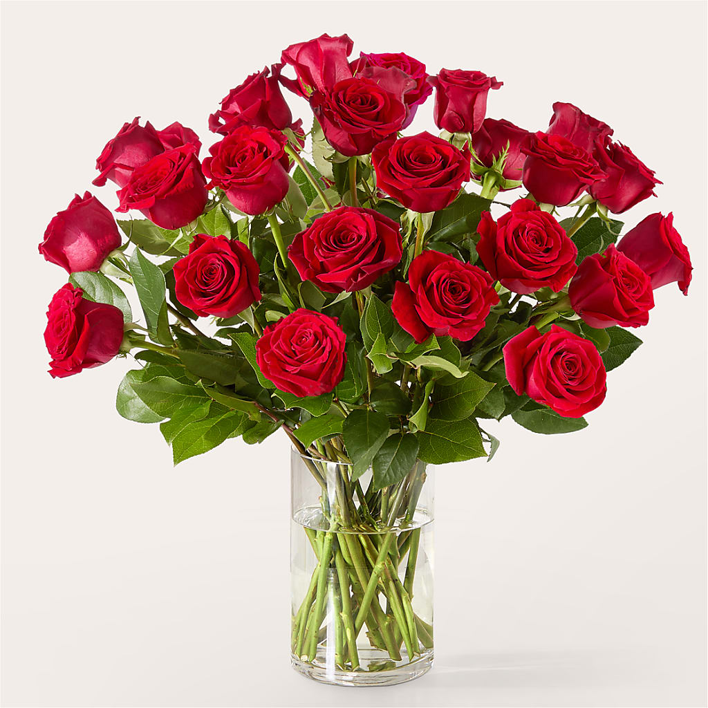 The One Red Rose Bouquet – MOLLY'S FLORIST, Mullins SC