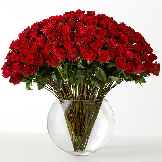 The Idealist – MOLLY'S FLORIST, Mullins SC