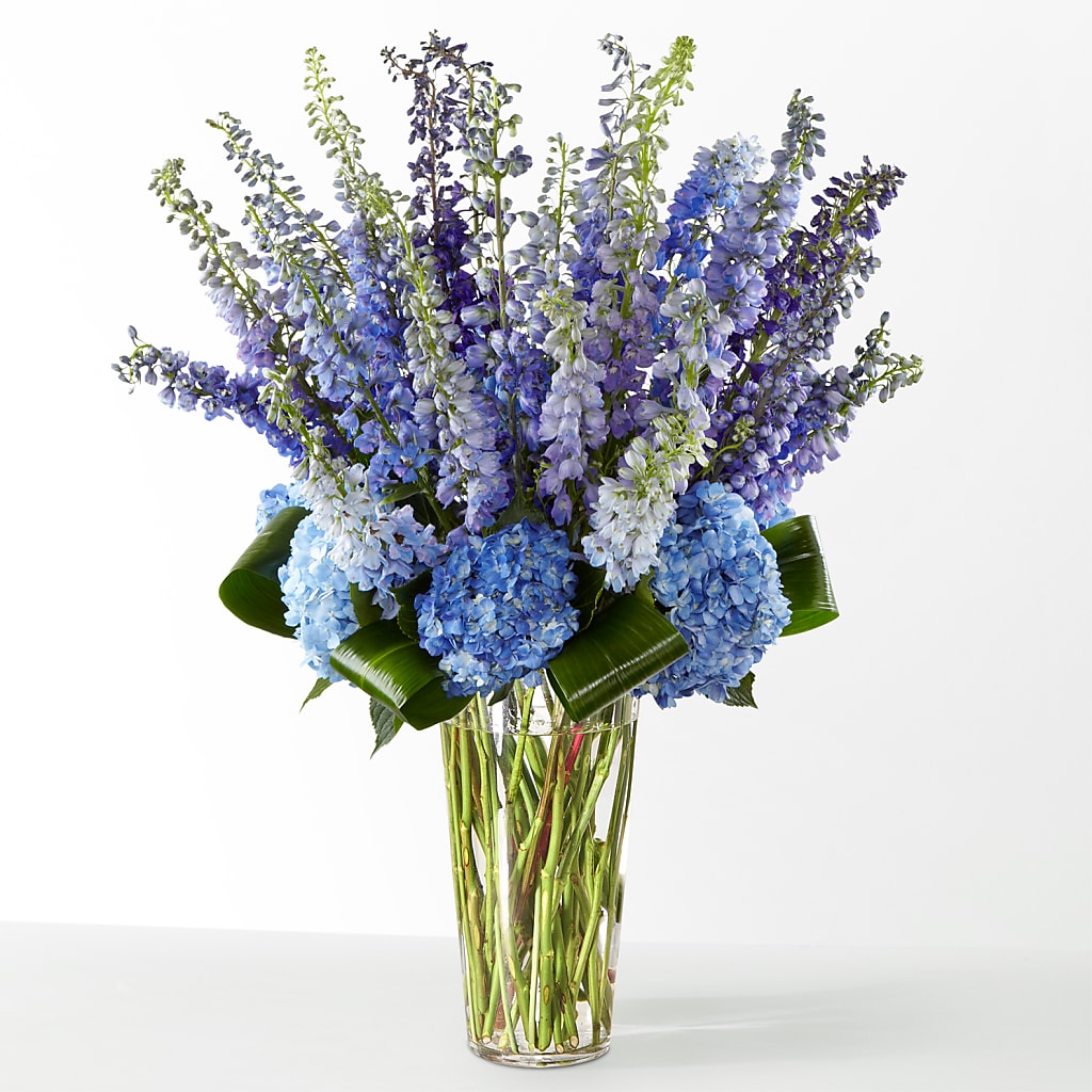 The Editorial – MOLLY'S FLORIST, Mullins SC
